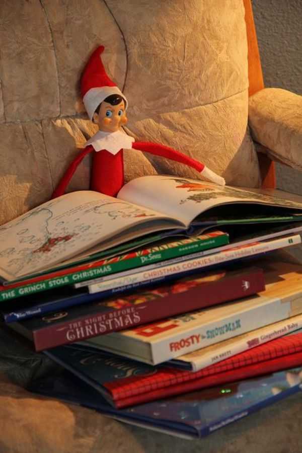 Elf Reading a Book