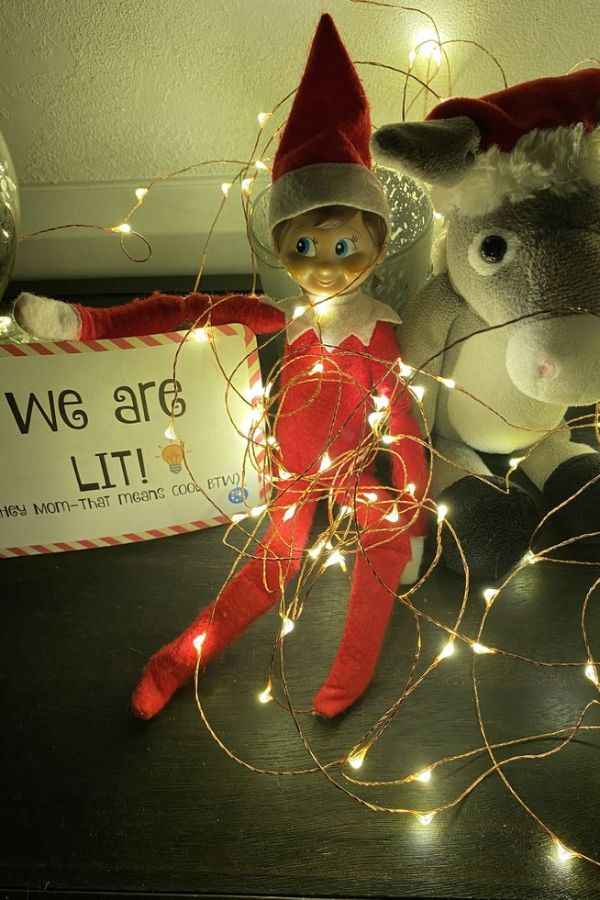 Elf Wrapped in Lights