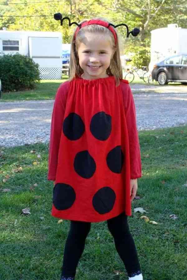 Ladybug