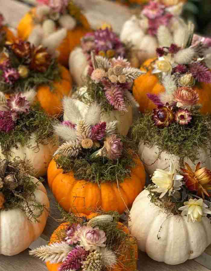 Mini Pumpkin Arrangement