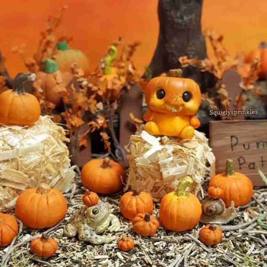 Pumpkin Patch