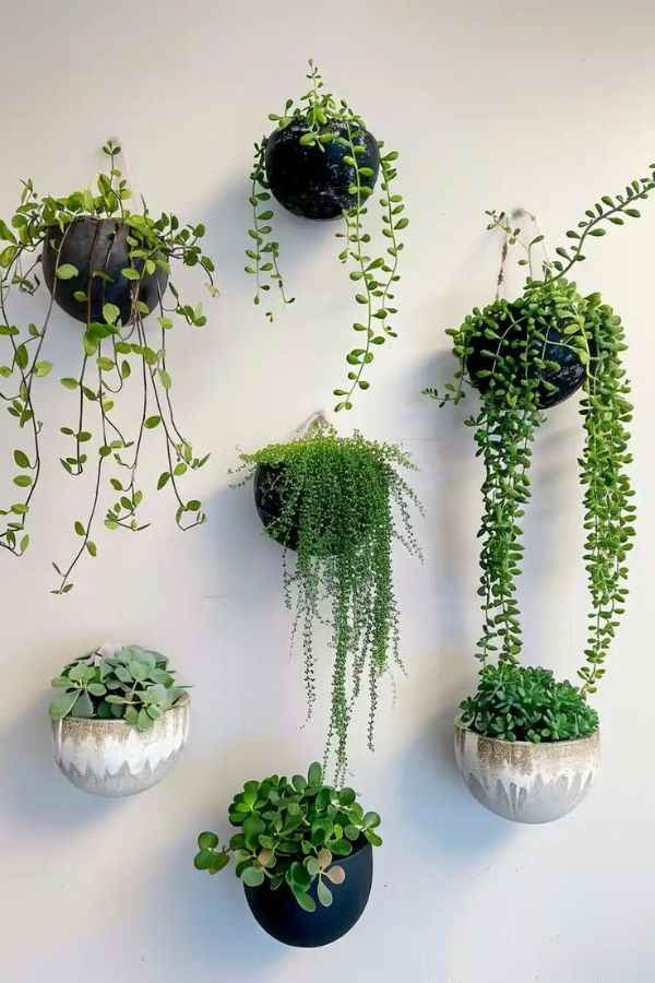 Hanging Planters