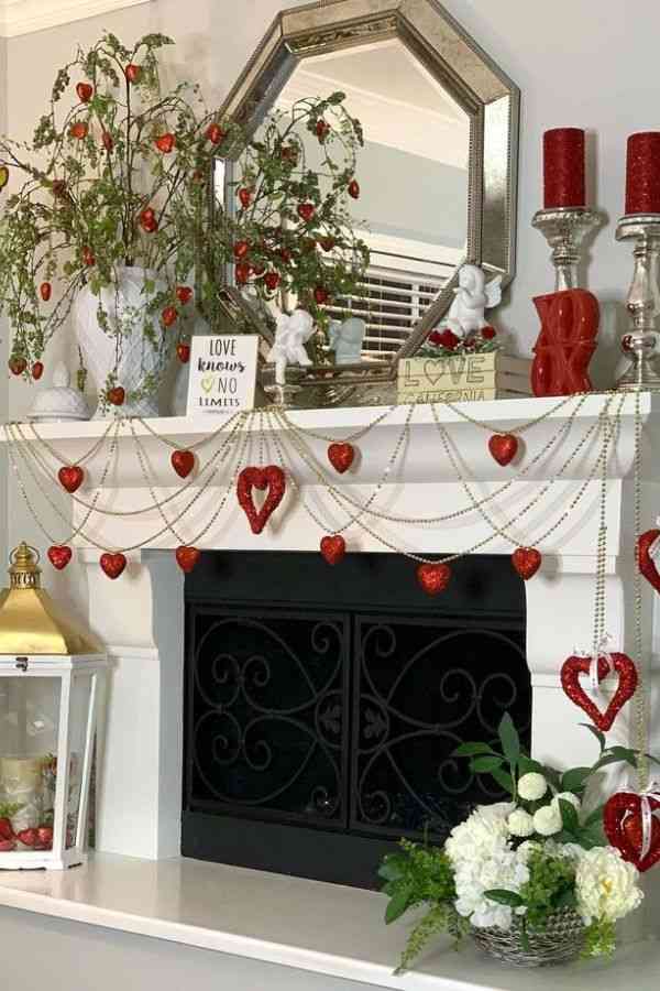 Potted Plants with Heart-Shaped Leaves