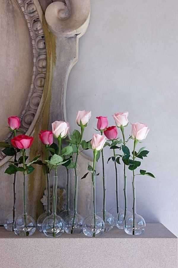 Single Rose in a Vase