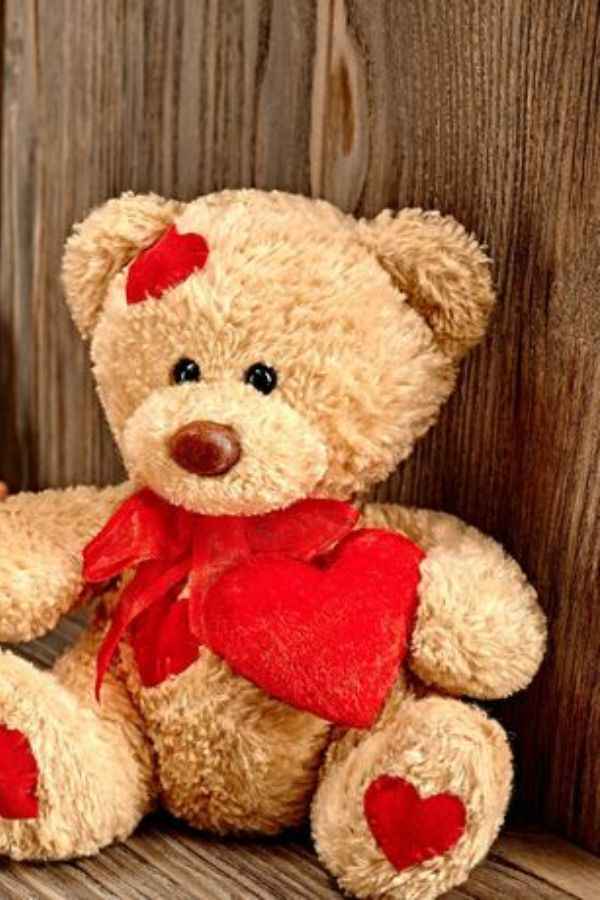 Teddy Bear Love